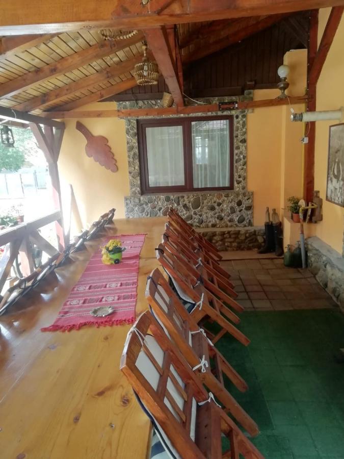 Vila Ovi Hotel Bran  Exterior photo